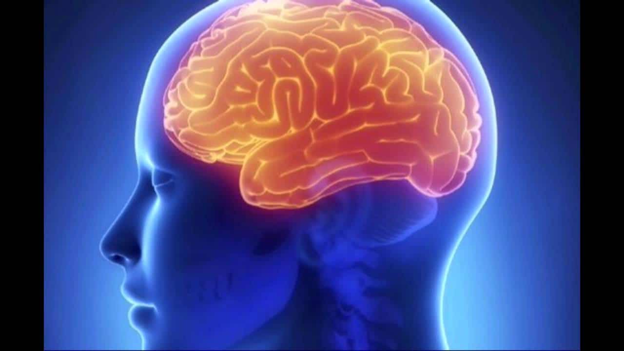 Beberapa Cara Unik Untuk Meningkatkan Fungsi Otak